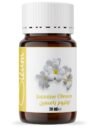 Oleum Oleum Jasmine Oil - 30 ml - 100% Pure and Unrefined - Exquisite Oil for Aromatherapy and Relaxation